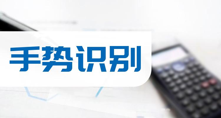 手势识别公司哪个好_三季度营收排行榜
