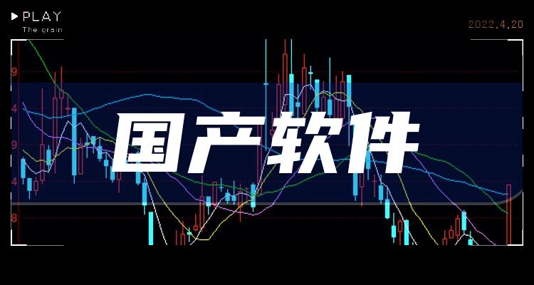 国产软件哪个公司好