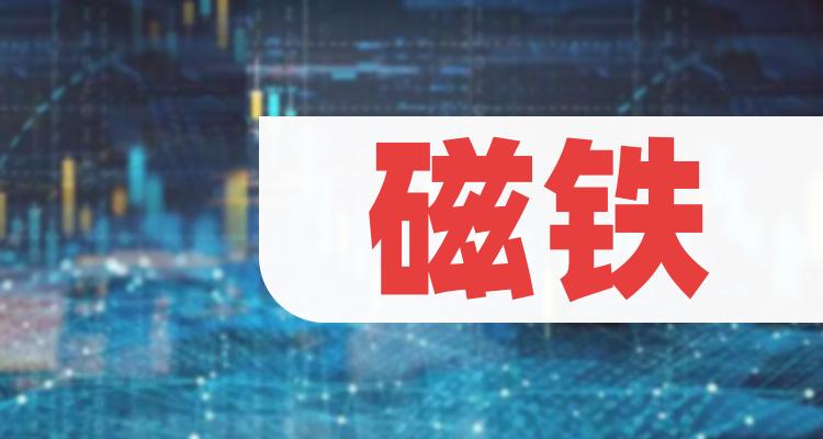五只磁铁龙头股名单