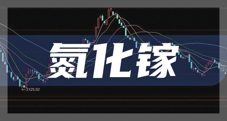氮化镓哪个公司好