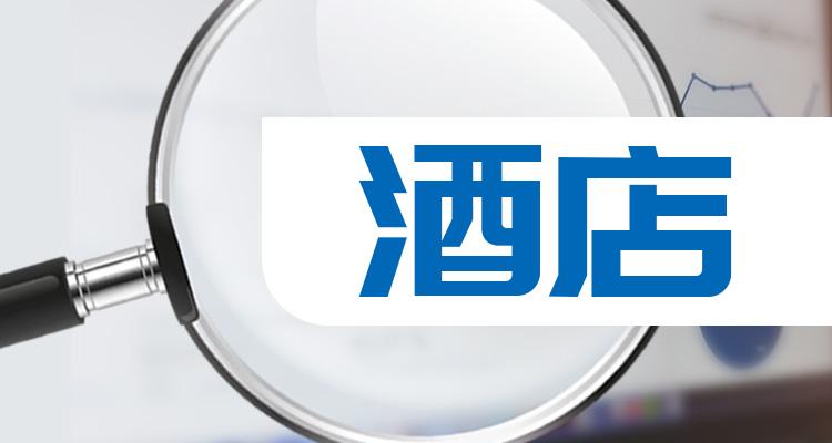 十大酒店概念股(哪些是锂电池股票龙头)