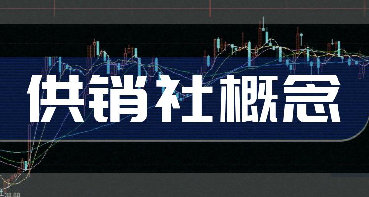 供销社概念上市公司十强