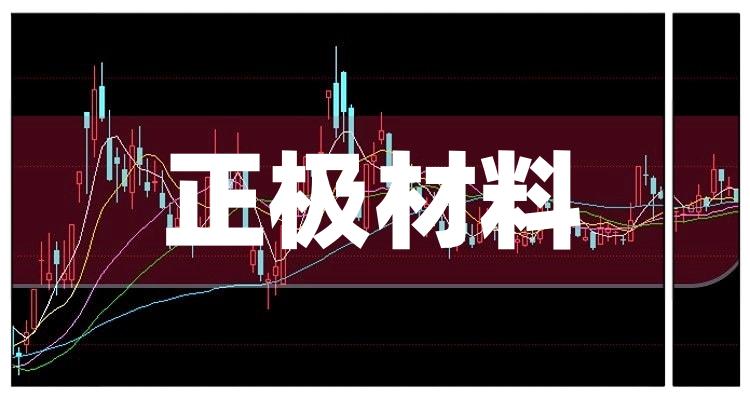 2022正极材料概念龙头股有哪些_今天给大家梳理一下