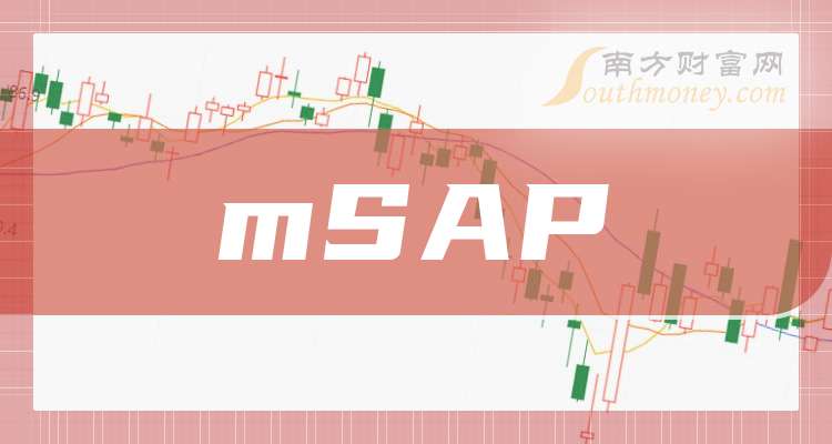 5大mSAP龙头公司
